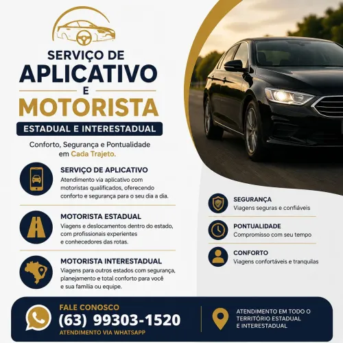Motorista Particular