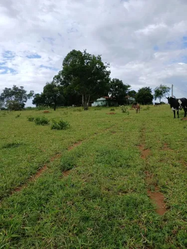 SITIO EM BELA VISTA COM TRÊS ALQUEREIRES E DEZ LITROS.