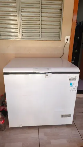 Freezer 309L