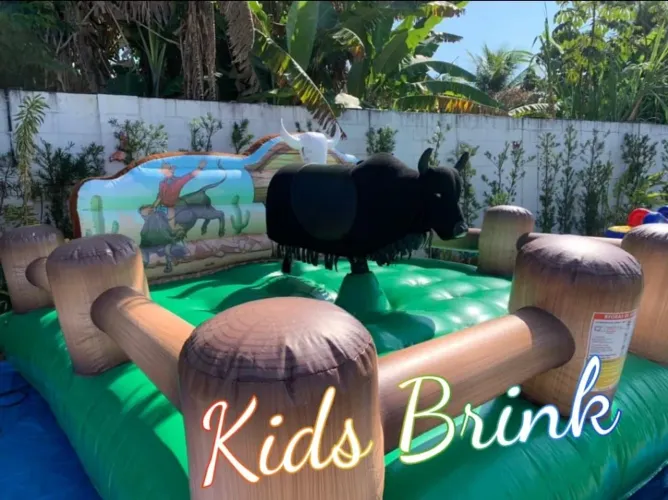 Locação infláveis brinquedos