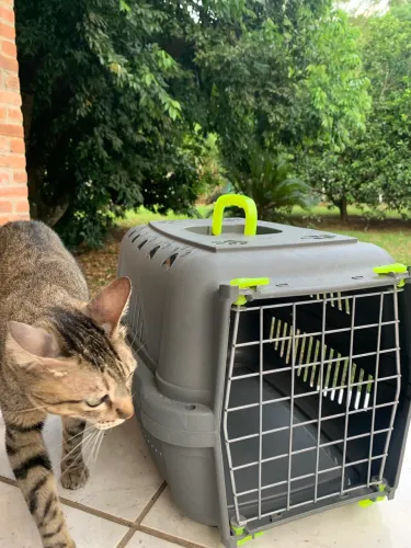 Caixa de Transporte para PET?s - Gato, Cão, Roedores etc.