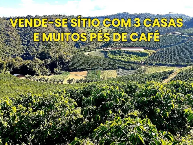Sítio com 15 Hectares, 33 Mil Pés de Café e 3 Casas à Venda em Santa Maria de Jetibá ES