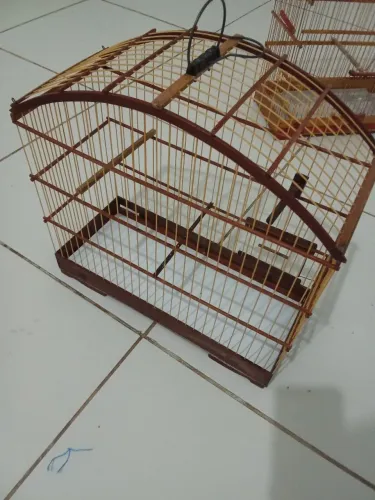 Gaiola