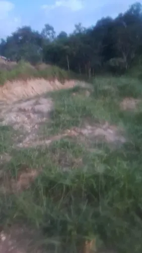 vendo chácara morro do cedro