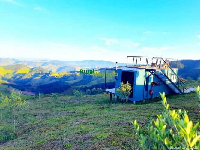 FAZENDA COM PLANTAÇÃO OLIVEIRAS / UVAS/ MAÇAS EM CRISTINA-MG