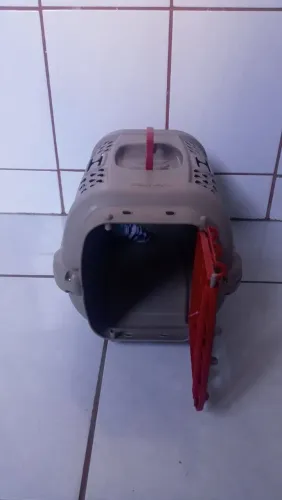 Caixa transporte Gatinhos