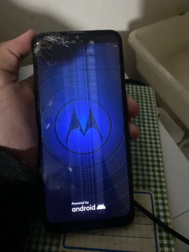 Celular