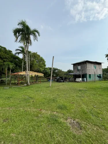 FAZENDA/ SÍTIO BR 319