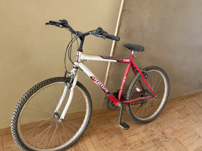 Bicicleta/Bike