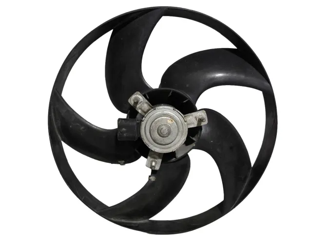Ventoinha Motor Eletroventilador Peugeot 206 1999 a 2008 S/ Ar Condicionado *0 Ori