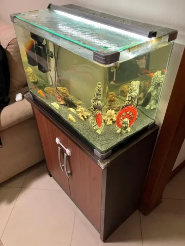 Aquário 70L com móvel