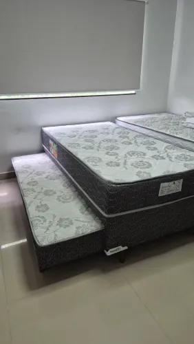 Bicama Box Solteirão