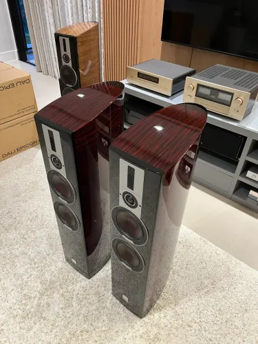 Dali Epicon 6