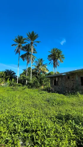 Terreno x/ 460 m², em rua calçada, á 500m da praia, Ponta de areia, Itaparica-Ba,