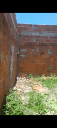 terreno 17 de março