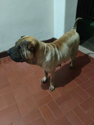 Doação