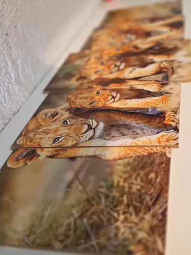 Quadros em mdf loja Fanático