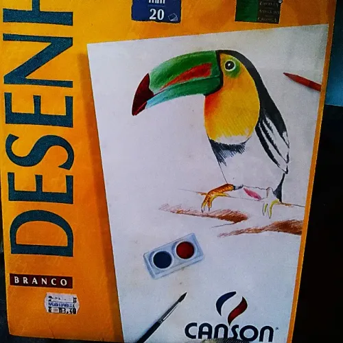 20 FOLHAS DE CANSON LACRADAS