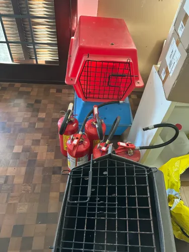 Caixas de transporte pets 