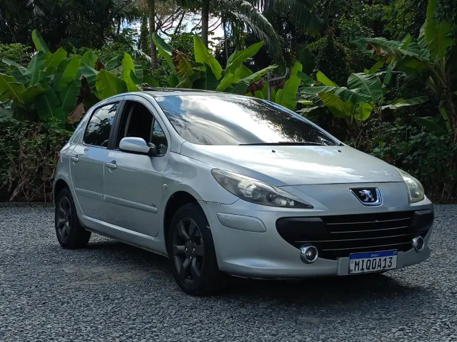Peugeot 307 Soleil/ Presence 1.6/1.6 Flex 16V 5P 2009