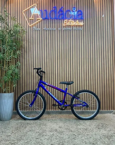 Bicicleta VERDEN FOLKS AZUL Aro 20 ?