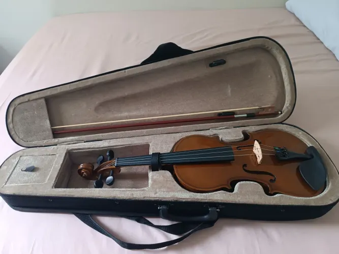 Vendo Violino DOMINATE 9650