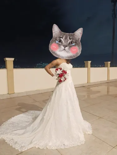 Vestido de noiva 10 x sem juros