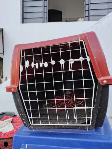 Caixa de transporte Pet