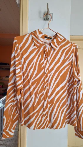 Camisa