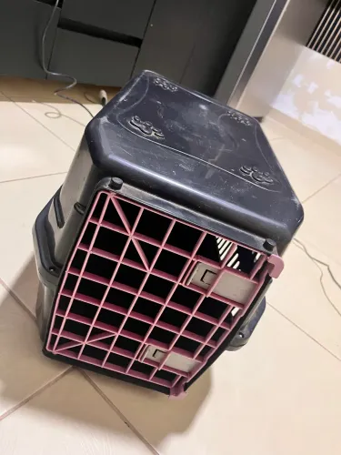 Casinha transportadora