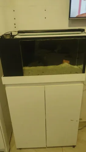 Vendo aquário, da pra montar doce e marinho
