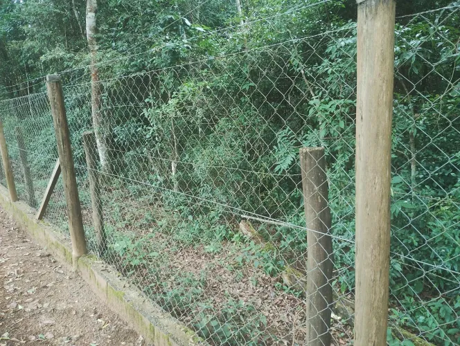 Alambrado