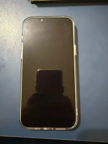 iPhone 13 Pro Max 256GB