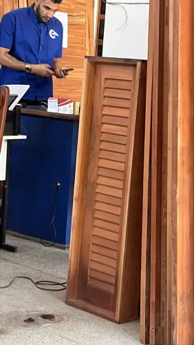 Pivoltantes 