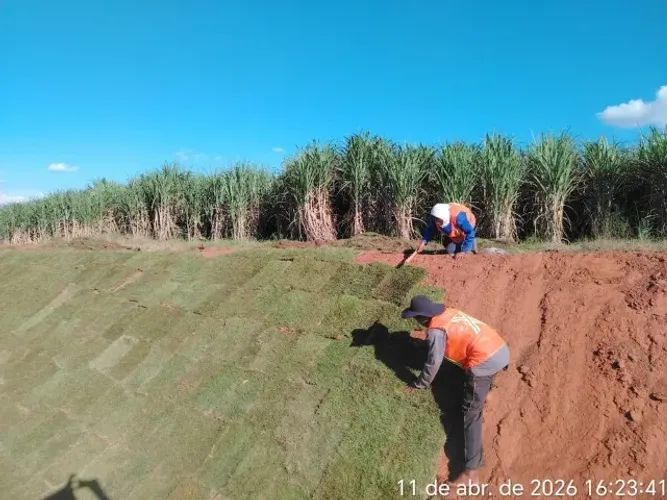 Grama Bermuda Faça Seu Orçamento Sem Compromisso