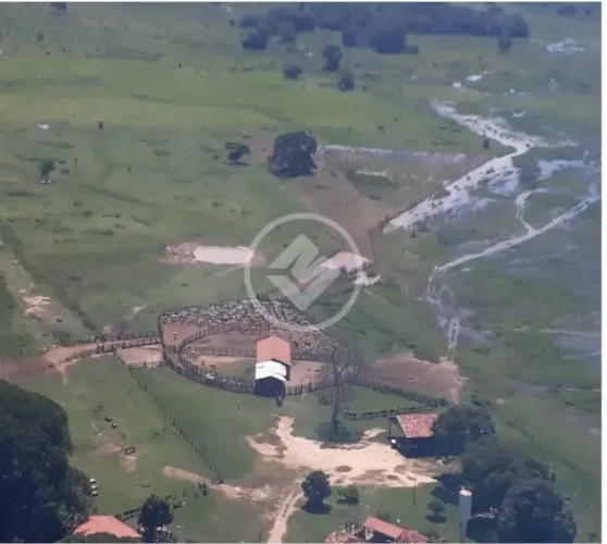 FAZENDA LOCALIZADA EM POCONÉ MATO GROSSO, COM APROXIMADAMENTE 88.000 HECTARES (OITENTA E O