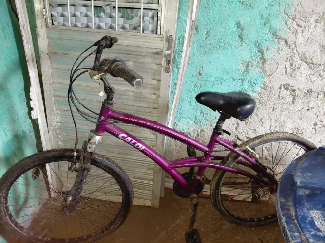 Bicicleta feminina top