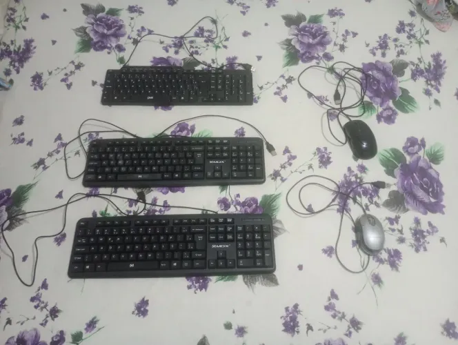 Lote de 3 teclados e 2 Mouses usados