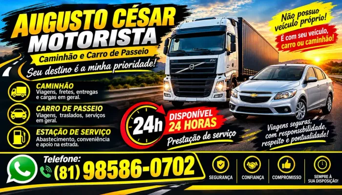 Motorista Profissional 
