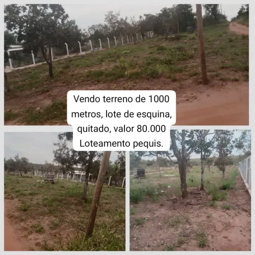 Vendo chácara fácil acesso