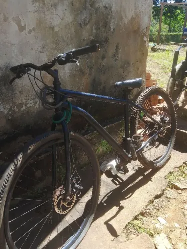 Bicicketa amo 29