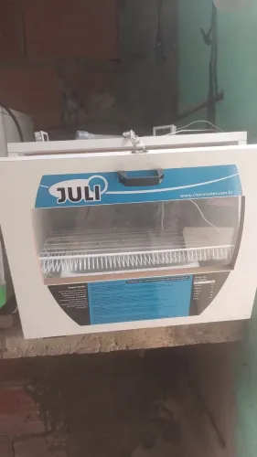Chocadeira elétrica para pintinhos