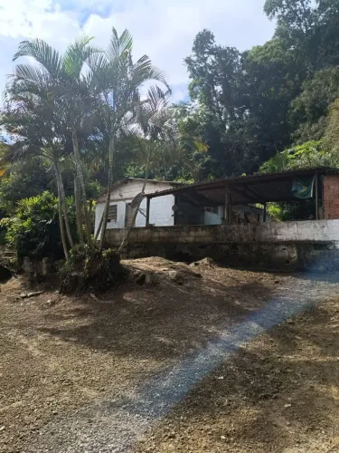 Sitio com Escritura (2 alqueires de terra) Por 150 mil