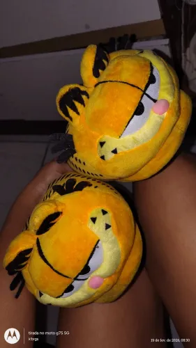 Pantufa Garfield N° 35