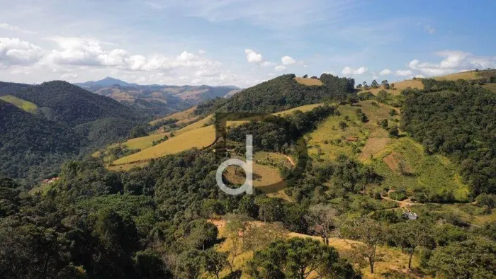 Área de 50.000 m² em Camanducaia, Minas Gerais, com 2 nascentes R$ 650.000,00