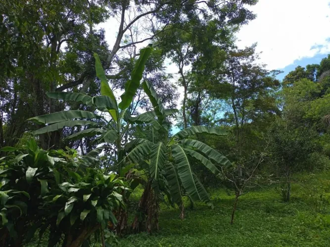 Terreno de 5.000m² na Chácara de Inoã Maricá/RJ