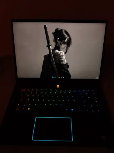 Alienware M16 R2 - 32gb RAM - RTX 4070