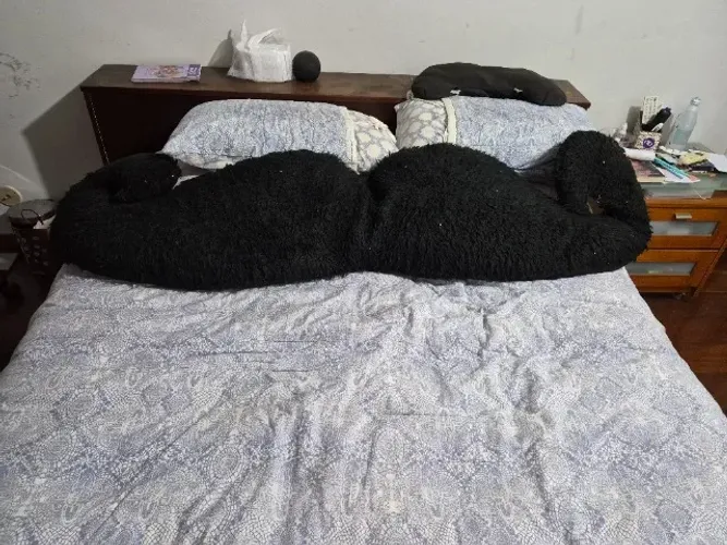 Almofada em forma de bigode Poderoso chefao para cama Queen ou king size