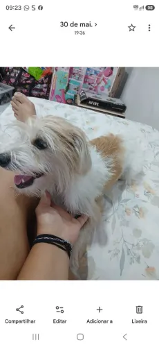 Doação