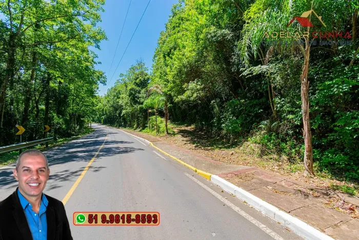 Chácara de 3.9 hectares à VENDA na Rota das Nuvens em Serra Grande - RS